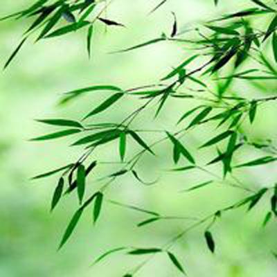 空中大逃杀手机版(暂未上线)v1.0 安卓版