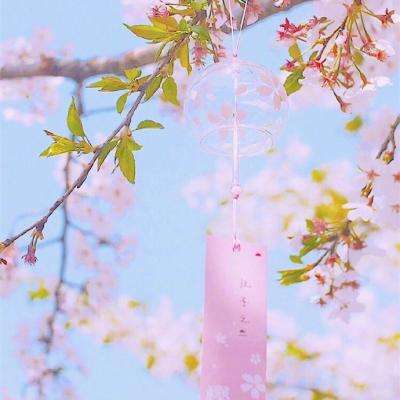 代号pz手机版(暂未上线)v1.01 安卓版