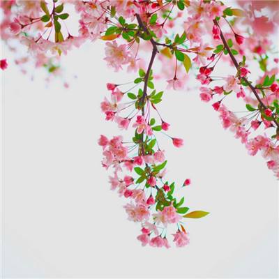 表情脑洞大爆炸手机版(暂未上线)v1.0 安卓版