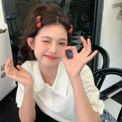 方块堡垒越南服最新版下载